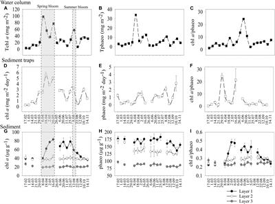 Seasonal Variability in Benthic–Pelagic Coupling: Quantifying Organic Matter Inputs to the Seafloor and Benthic Macrofauna Using a Multi-Marker Approach